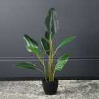 Artificial Real Touch Bird of Paradise Plant in Black Plant Pot