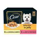 Cesar Deliciously Fresh Dog Food Pouches Mixed Selection in Jelly 12 x 100g