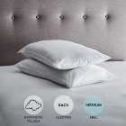 Fogarty Pack of 2 Soft Touch Back Sleeper Pillows
