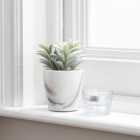 Artificial Succulent in White Marble Plant Pot