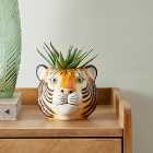 Ceramic Tiger Head Pot 12cm