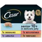 Cesar Senior Wet Dog Food Trays Meat in Delicate Jelly 4 x 150g