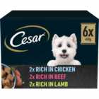 Cesar Natural Goodness Adult Wet Dog Food Tins Mixed In Loaf 6 x 400g