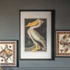 Pelican Framed Art