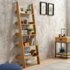 Fulton Ladder Bookcase