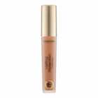 Collection Lasting Perfection Concealer 17 Chestnu t 4ml