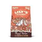 Lily's Kitchen Chicken & Salmon Dry Puppy Food 1kg
