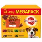 Pedigree Adult Wet Dog Food Pouches Mixed in Jelly Mega Pack 40 x 100g