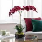 Dorma Artificial Pink Orchid in Glass Vase