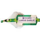 Ocado Large Garlic