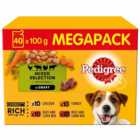 Pedigree Adult Wet Dog Food Pouches Mixed in Gravy Mega Pack 40 x 100g