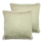 Paoletti Coco Twin Pack Polyester Filled Cushions Ivory