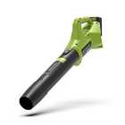 Greenworks 24v Cordless Variable Speed Axial Blower with 2ah Battery & Charger
