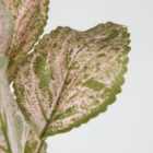 Crossland Grove Leaf Spray Pink And Green (6Pk) H570Mm