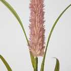 Crossland Grove Cattail Stem Pink (6Pk) H1100Mm