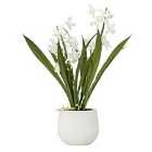 Crossland Grove Potted Cymbidium Orchid (real Touch) White H410Mm