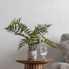 Crossland Grove Potted Fern In Cement Pot H710Mm