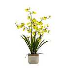 Crossland Grove Potted Oncidium Orchid (real Touch) Yellow H640Mm