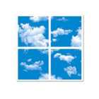 ENER-J Sky Cloud Led Panel 2D Version 60X60cm 40W 2 Yrs Warranty (pack Of 4)