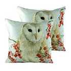 Evans Lichfield Christmas Owls Twin Pack Polyester Filled Cushions Multi