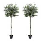 Greenbrokers Artificial Premium Quality Olive Trees 150Cm/5 Ft (set Of 2)