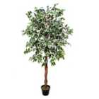 Greenbrokers Artificial Variegated Ficus Tree Potted Plant 180Cm/4Ft