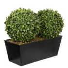 Greenbrokers Artificial Topiary Double Ball Aglaia Boxwood In Black Slanted Tin Window Box 35Cm/14In