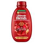 Garnier Ultimate Blends Argan Oil & Cranberry Shampoo 400ml
