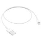Apple Lightning To USB Cable 0.5m, each