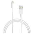 Apple Lightning To USB Cable 2m, each