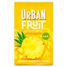 Urban Frtuit Baked Pineapple 100g