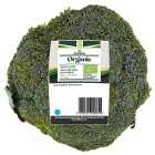 Morrisons Organic Broccoli 300g