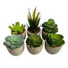 Oypla Set of 6 Artificial Succulent Mini Cactus Grass Plants Indoor Decoration
