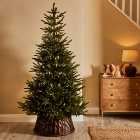 7ft Abies Christmas Tree