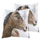 Evans Lichfield Photo Horse Twin Pack Polyester Filled Cushions Multi