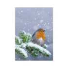 Animals & Flowers Christmas Card Pack 24 per pack