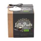 LillyPuds Premium Vegan & Gluten Free Premium Christmas Pudding 240g