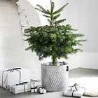 Ivyline Indoor Christmas Tree Bucket Zinc H28cm W28cm