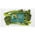 Ocado Organic Tenderstem Broccoli 200g
