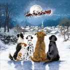 Dogs Watching Santa Christmas Card Pack 10 per pack