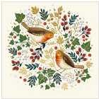 Robins Charity Christmas Card Pack 5 per pack