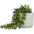 M&S Artificial Mini String of Pearls in Pot, Green