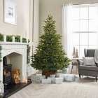 The Winter Workshop - 7ft Englemanns Spruce Artificial Christmas Tree