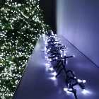480 LED 6.2m Premier Christmas Outdoor Cluster Timer Lights in Cool White