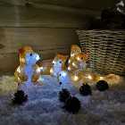 Set Of 4 White LED Acrylic Squirrels Outdoor Christmas Decoration Light Up Garden Ornament