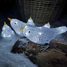 5 Acrylic Indoor Outdoor Robin Christmas Lights with 40 Ice White LEDs