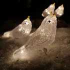 5 Acrylic Indoor Outdoor Robin Christmas Lights with 40 Warm White LEDs