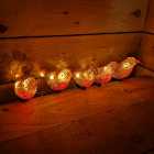 16 cm 5 pc Acrylic Christmas Robin Red Breast 30 Warm White LEDs And Clip