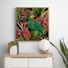 Parrot King II Framed Print