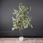 Artificial Variegated Ficus Tree in White Plant Pot